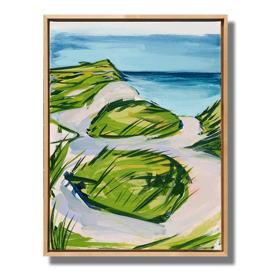 beach dunes